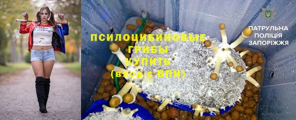 тгк Алексеевка