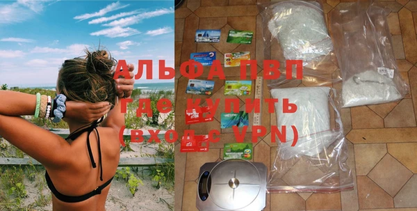 apvp Алексин