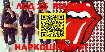 индика Нальчик