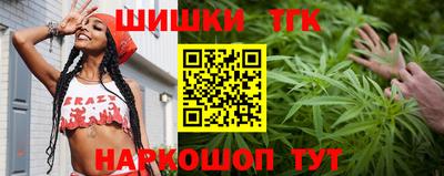 индика Нальчик